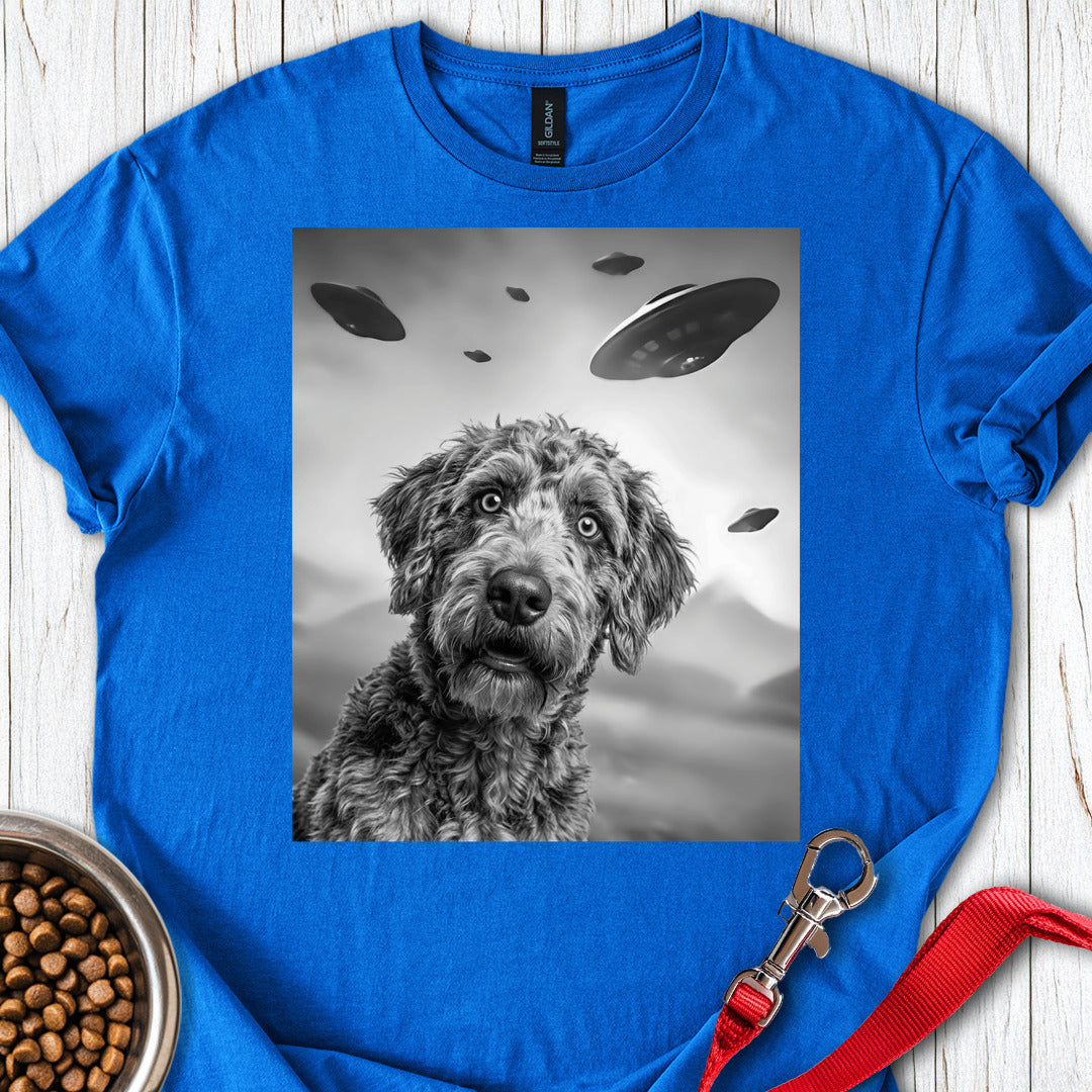 Labradoodle UFO Royal