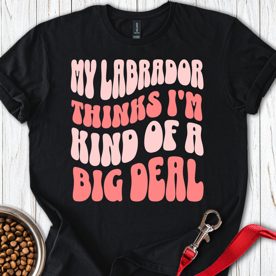 Labrador Big Deal Black