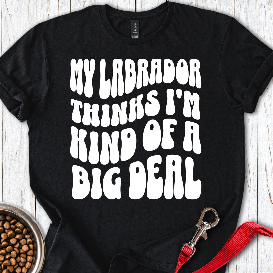 Labrador Big Deal Black