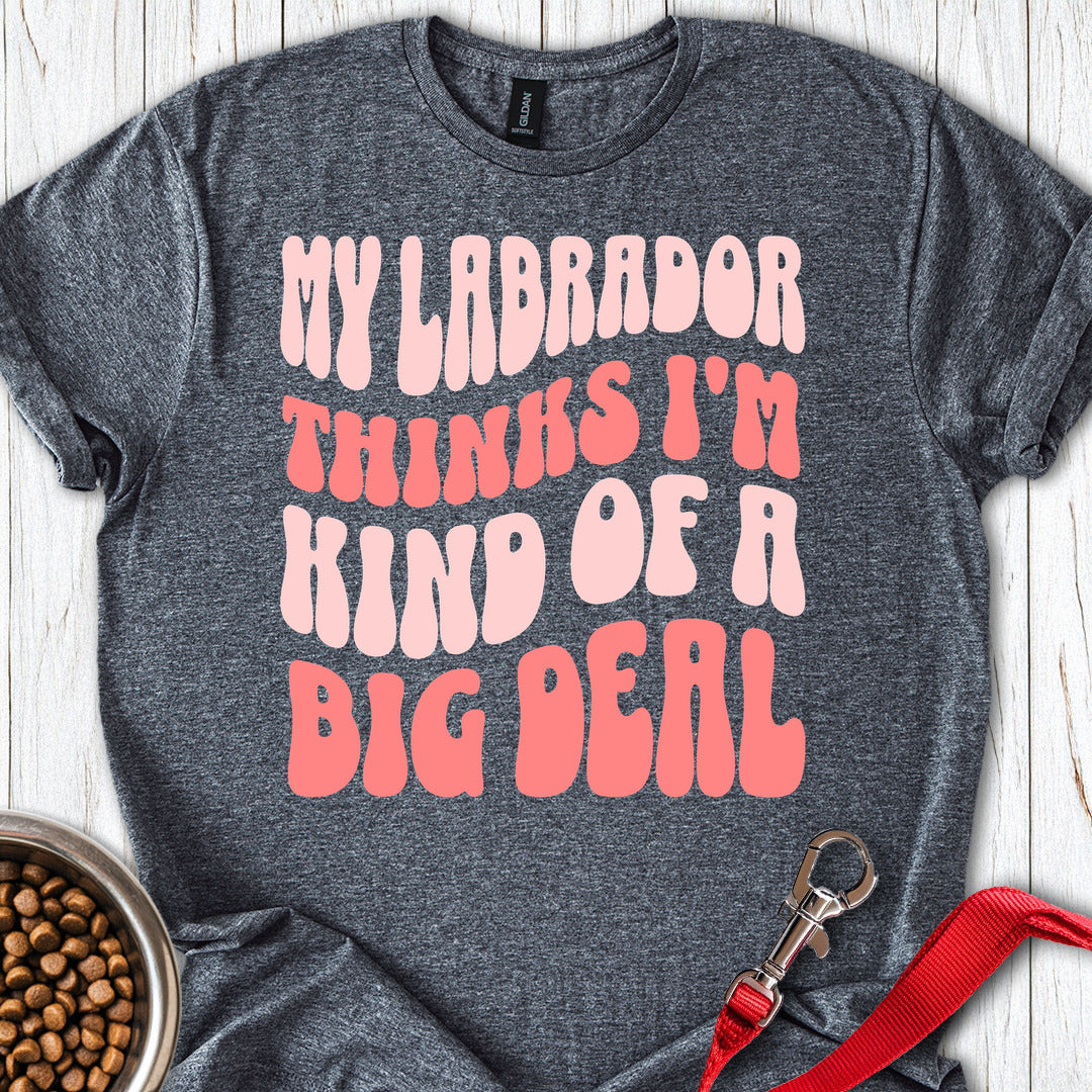 Labrador Big Deal Dark Heather