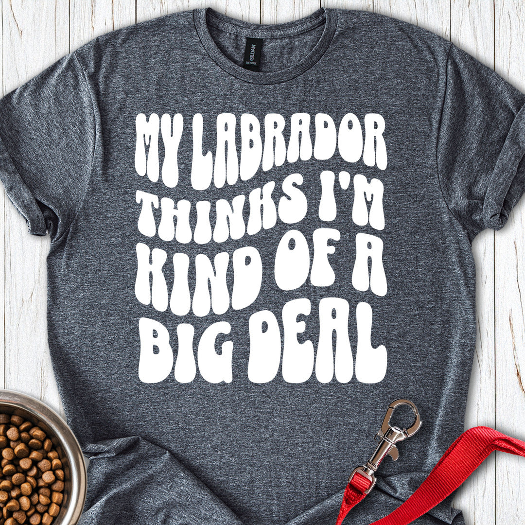 Labrador Big Deal Dark Heather