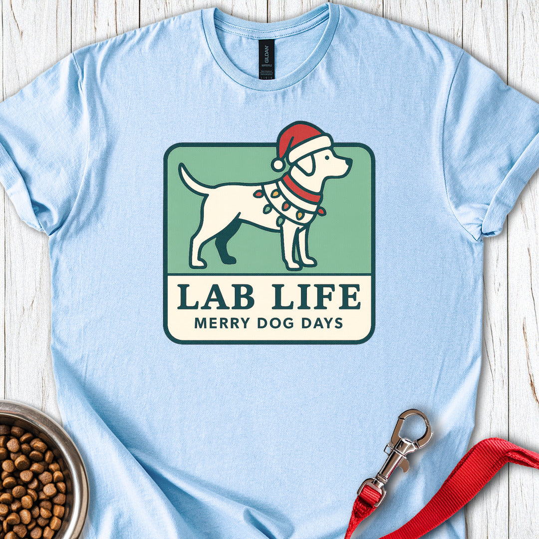 Labrador Christmas Light Blue