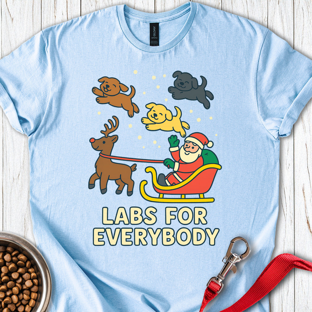 Labrador Christmas Light Blue