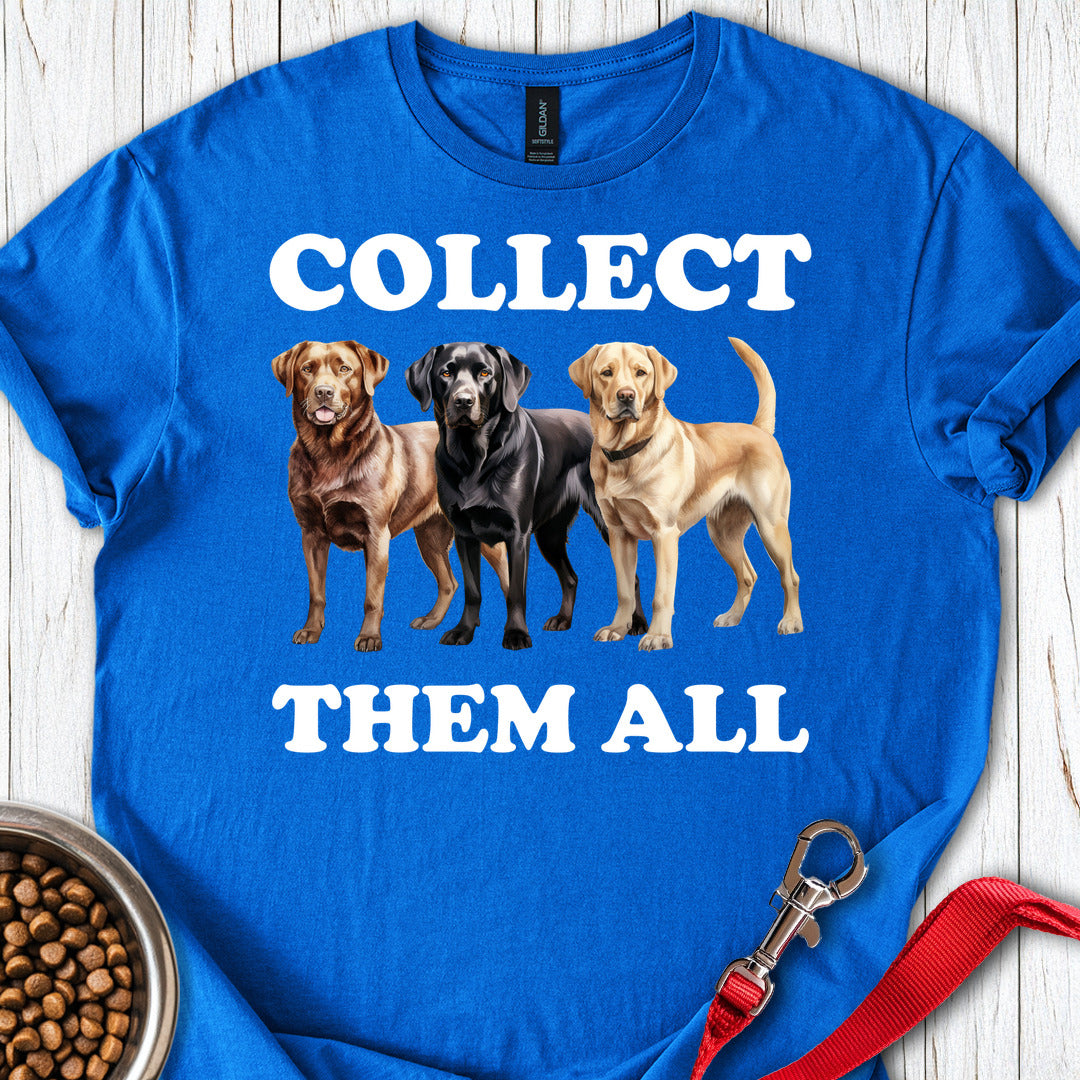 Labrador Collector Royal