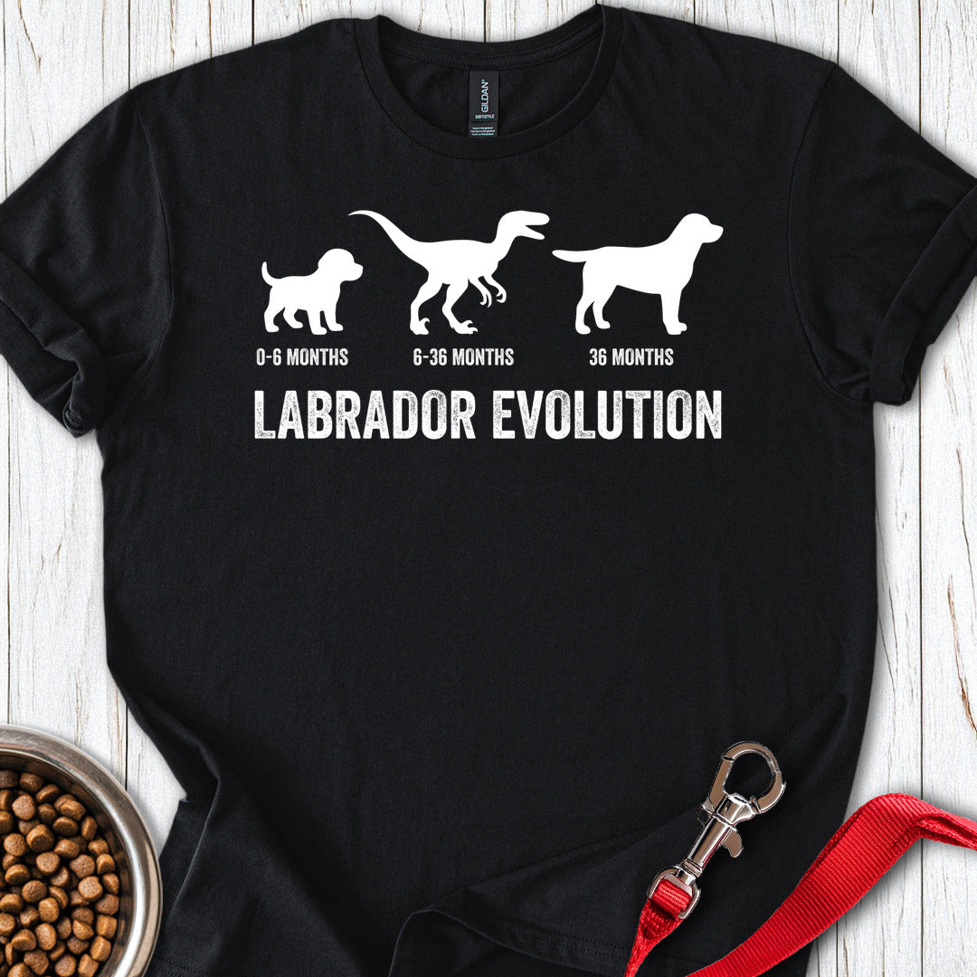 Labrador Evolution Black