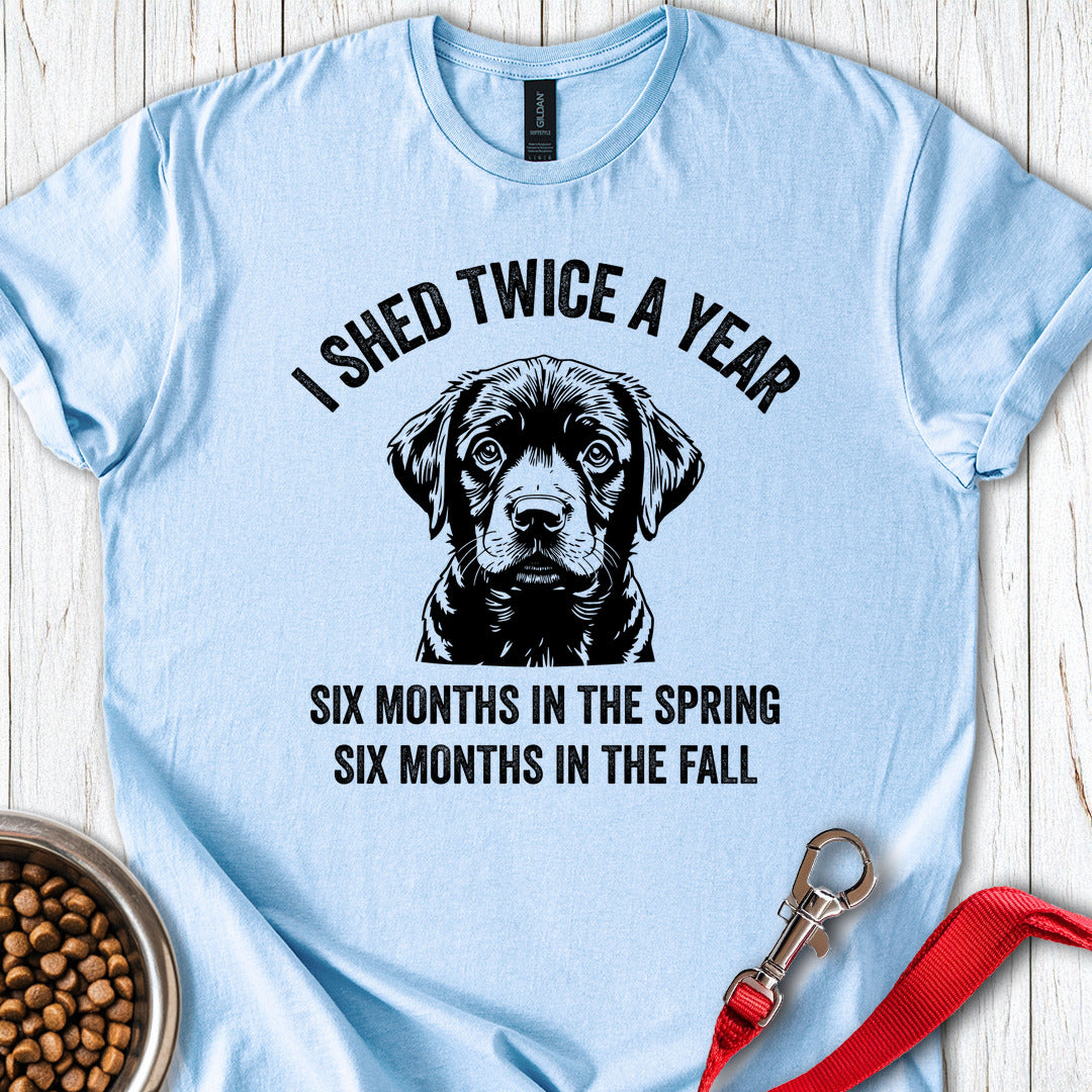 Labrador Shed Funny Light Blue