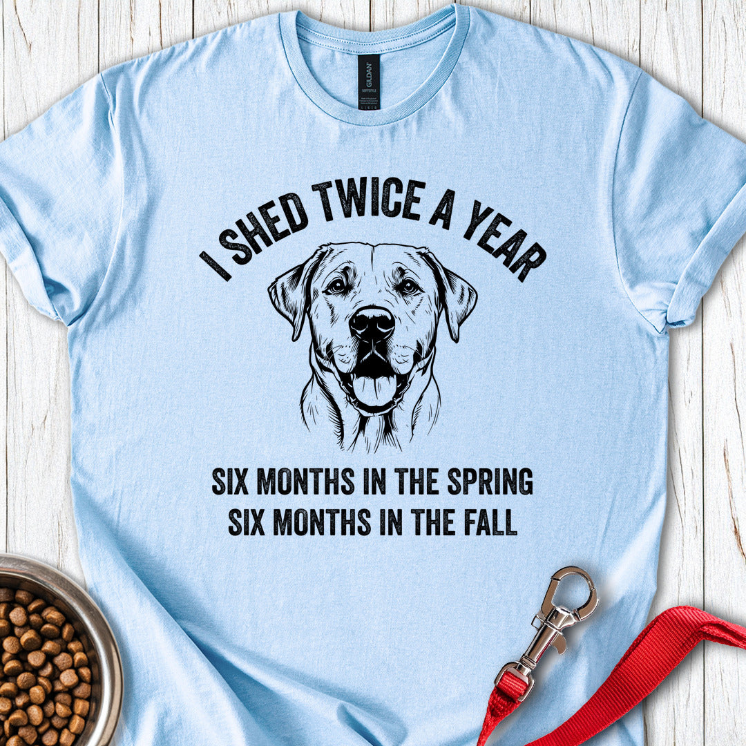 Labrador Shed Funny Light Blue