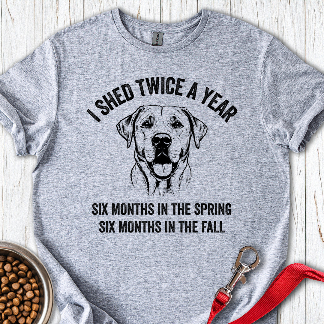 Labrador Shed Funny Sport Grey