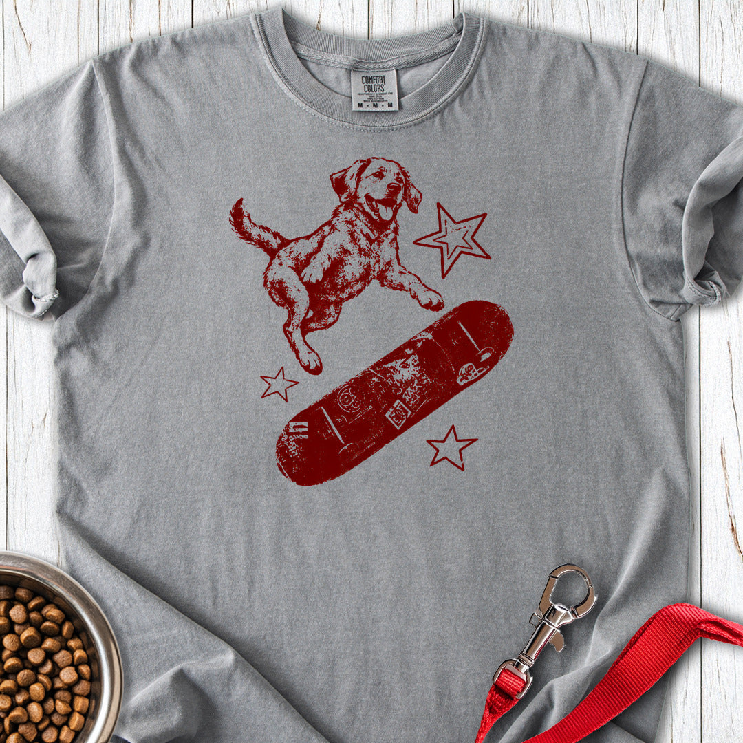 Labrador Skateboard Y2K Premium Tee Grey
