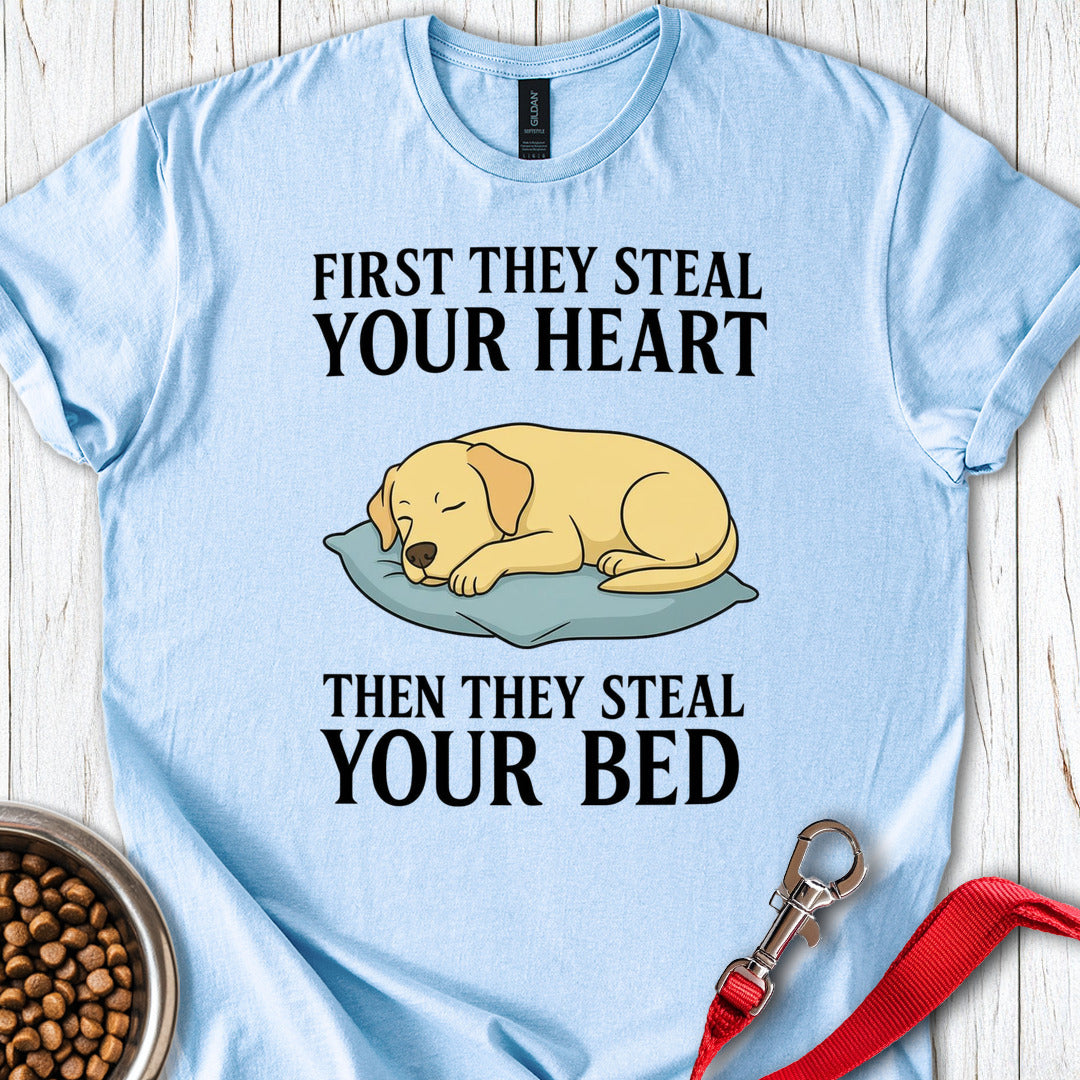 Labrador Stealing Bed Light Blue
