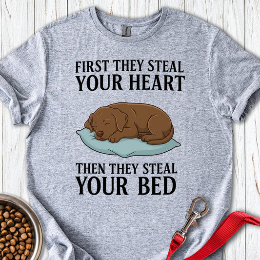 Labrador Stealing Bed Sport Grey