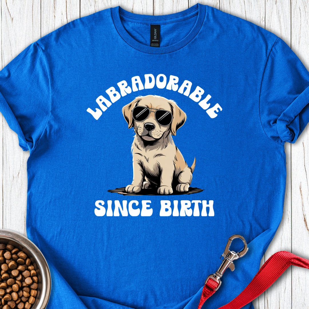Labradorable Since Birth Royal