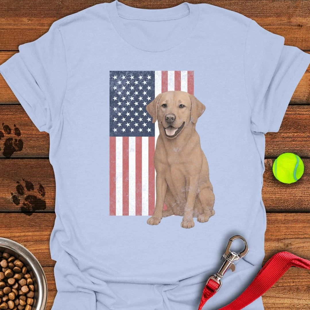 Fox Red USA Flag Faded T-Shirt Light Blue