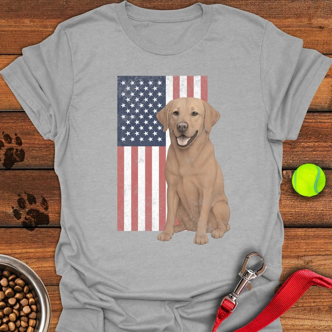 Fox Red USA Flag Faded T-Shirt Sport Grey