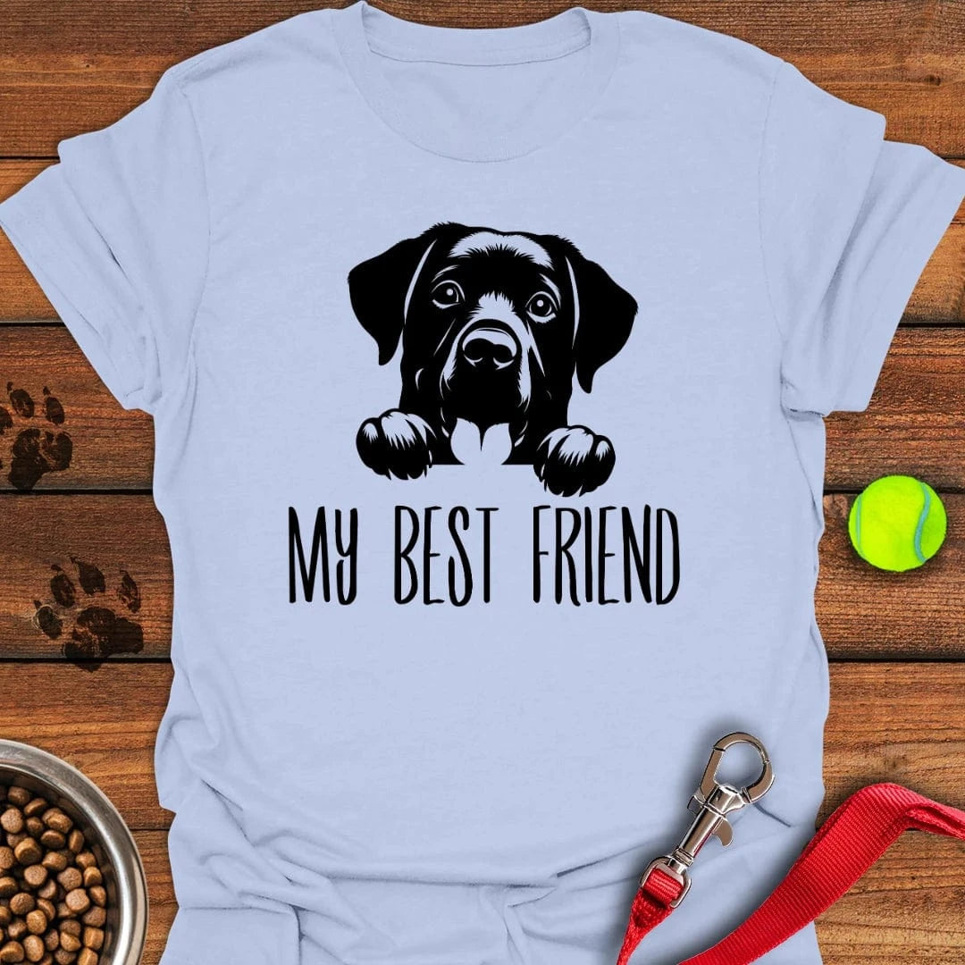 My Best Friend Labrador T-Shirt Light Blue