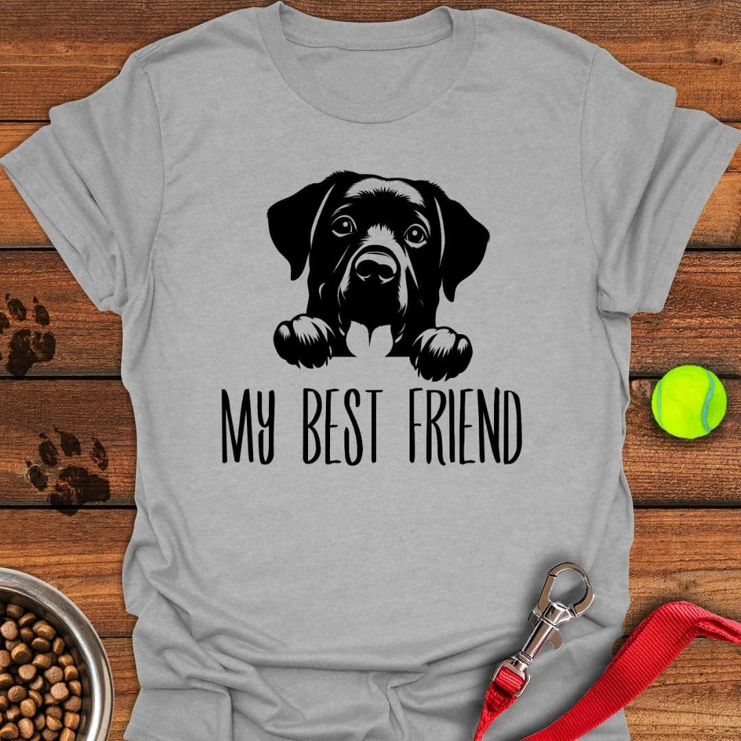 My Best Friend Labrador T-Shirt Sport Grey