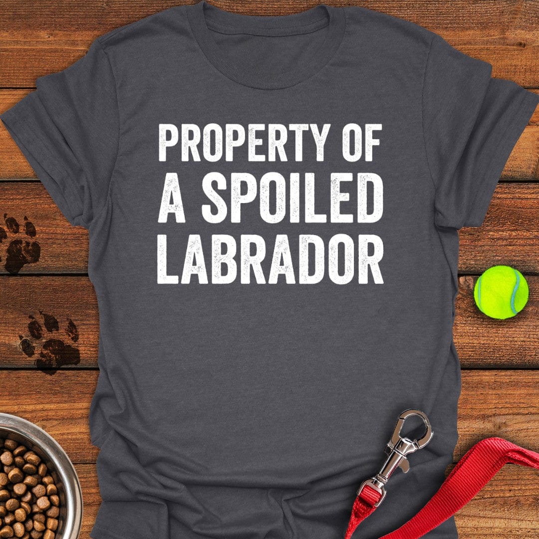 Property of a Spoiled Labrador T-Shirt Dark Heather