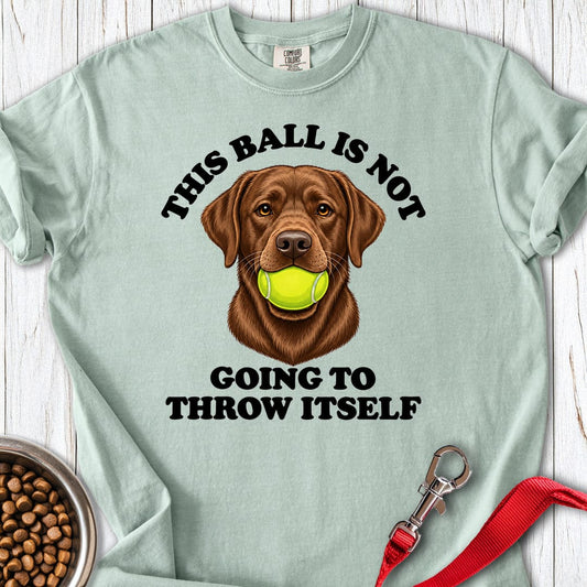 Chocolate Labrador Ball Bay