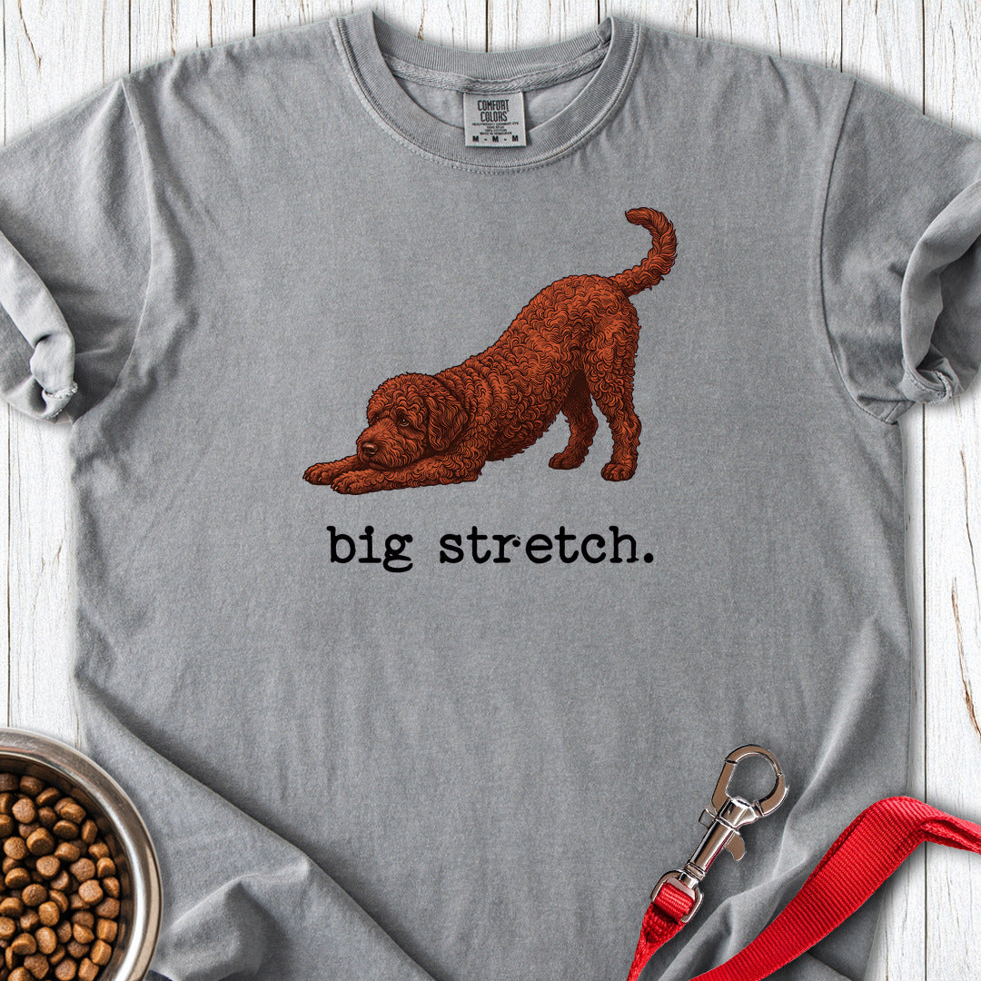 Lagotto Big Stretch Premium Tee — Grey
