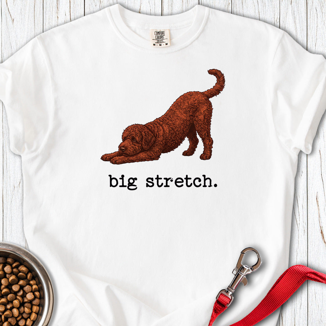 Lagotto Big Stretch Premium Tee — White