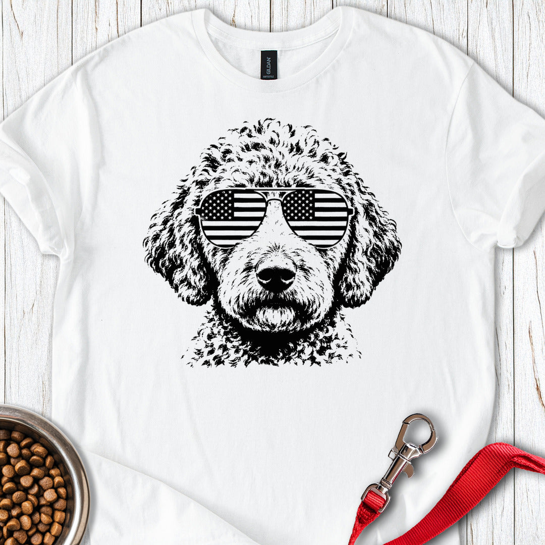 Lagotto USA White