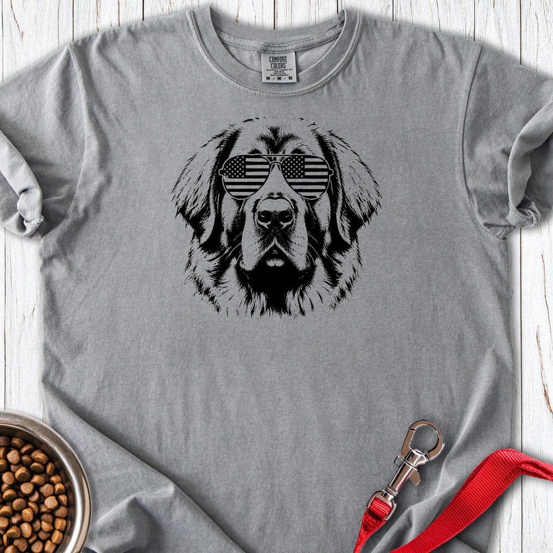 Leonberger Flag Shades Premium Tee — Grey