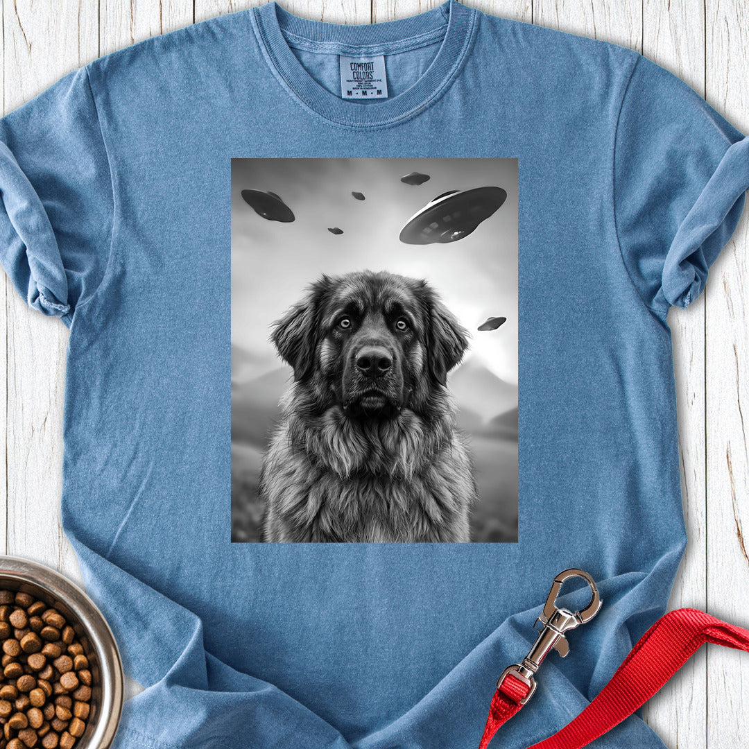 Leonberger UFO Premium Tee — Blue Jean