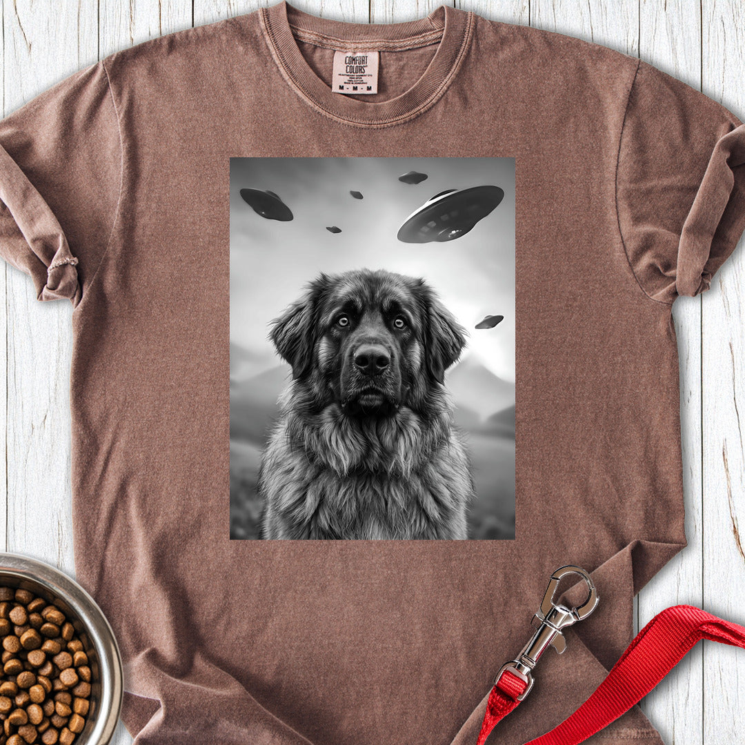 Leonberger UFO Premium Tee — Espresso