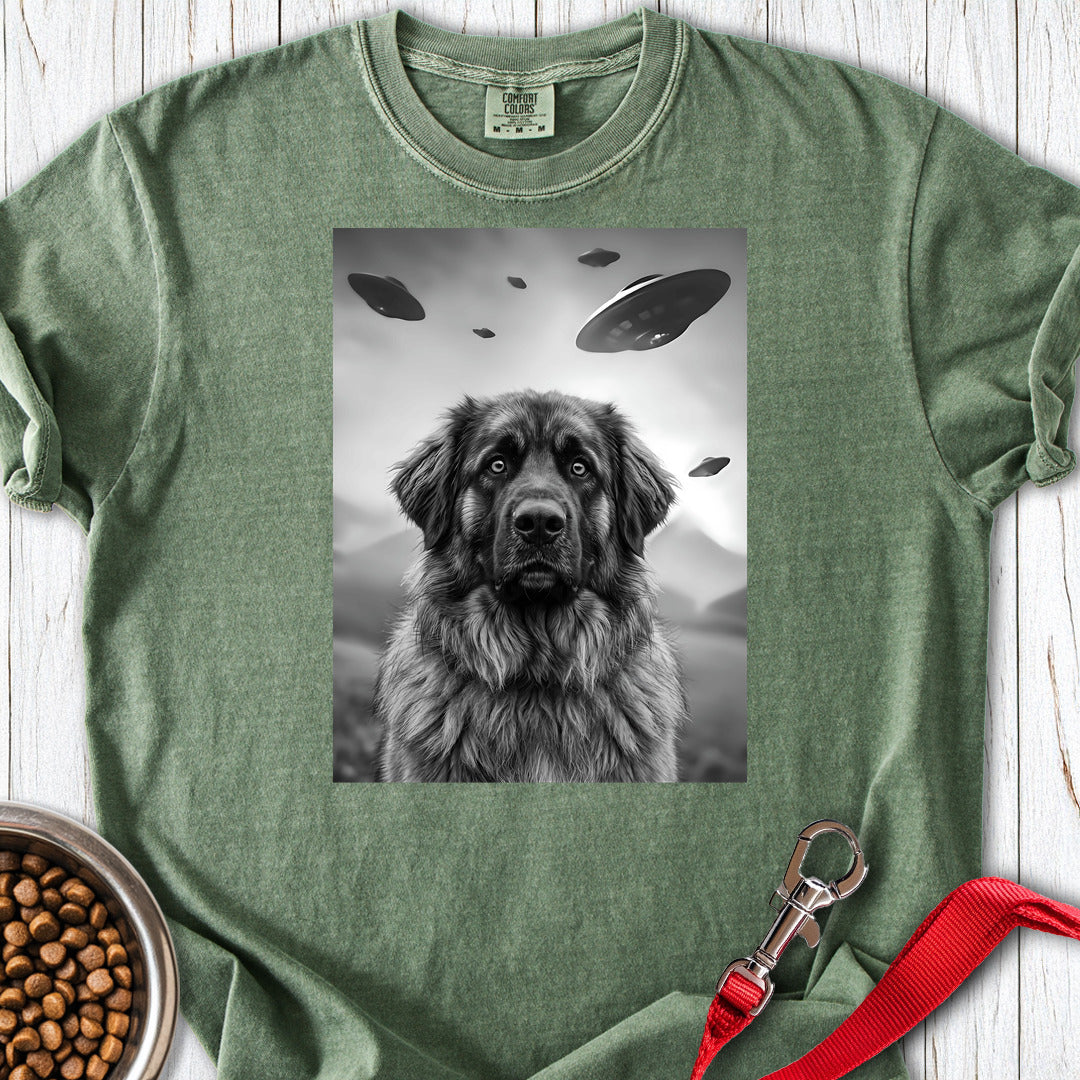 Leonberger UFO Premium Tee — Moss