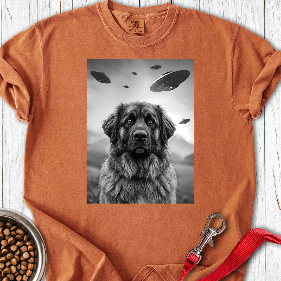 Leonberger UFO Premium Tee — Yam