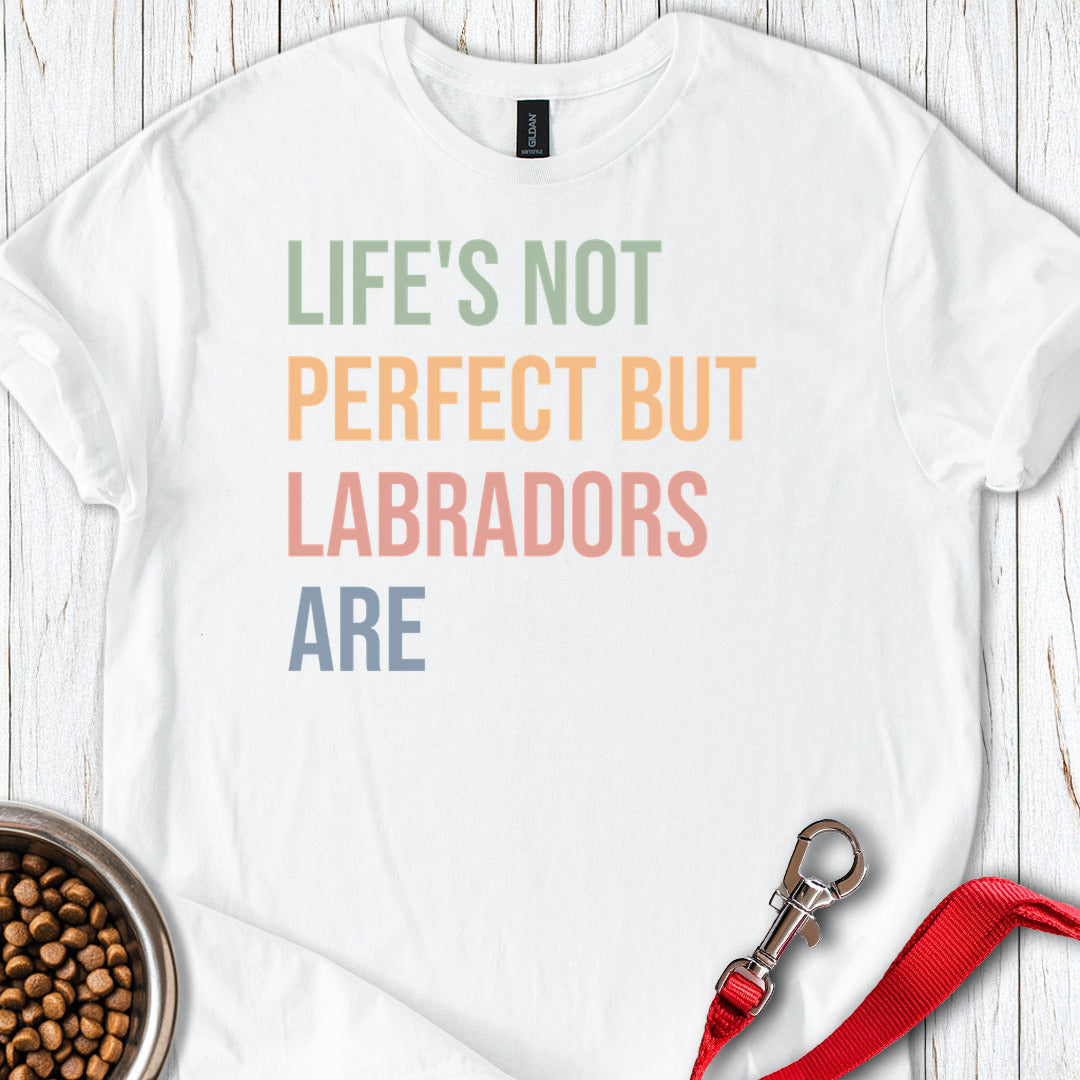 Life Is Not Perfect Labrador White