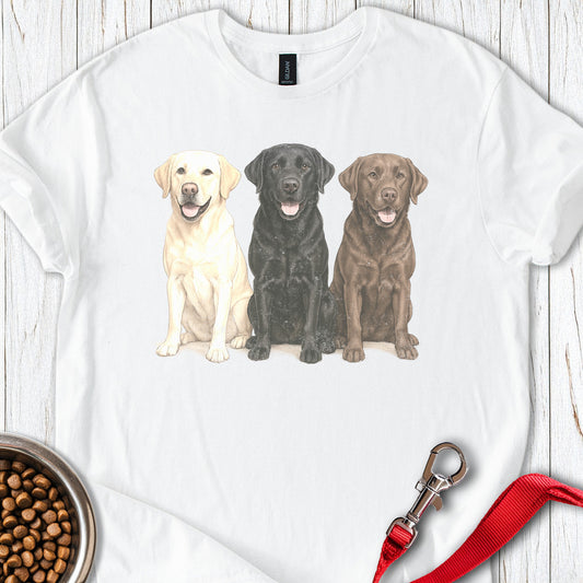 Multi-color Labs Faded White