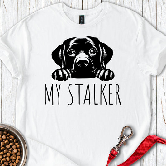 My Stalker Labrador White
