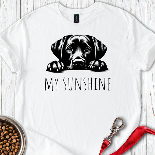 My Sunshine Labrador White