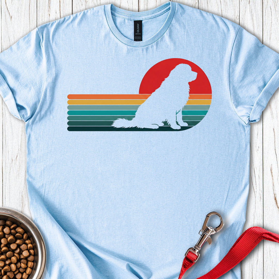 Newfoundland Retro Sunset — Light Blue