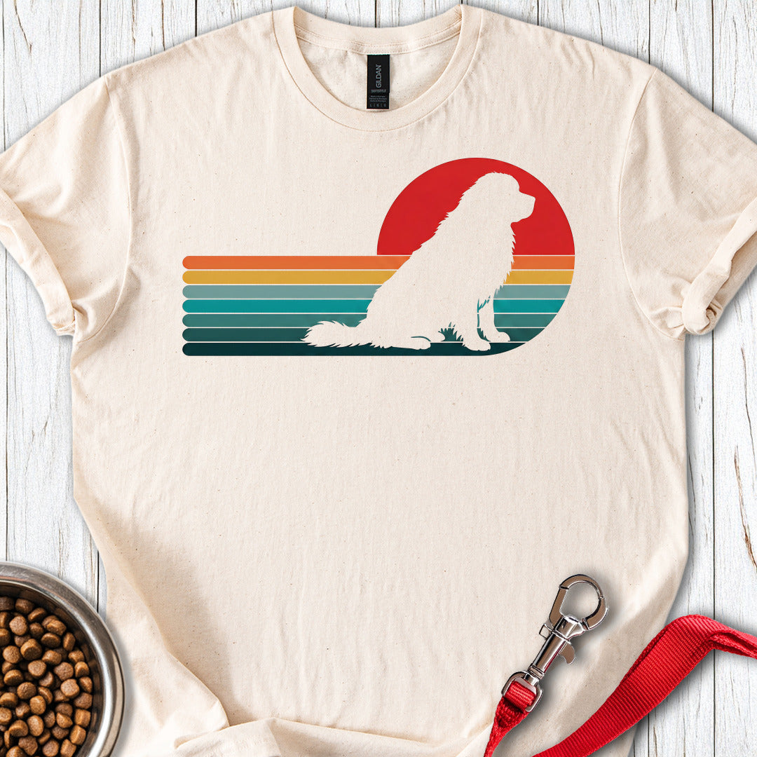 Newfoundland Retro Sunset — Natural