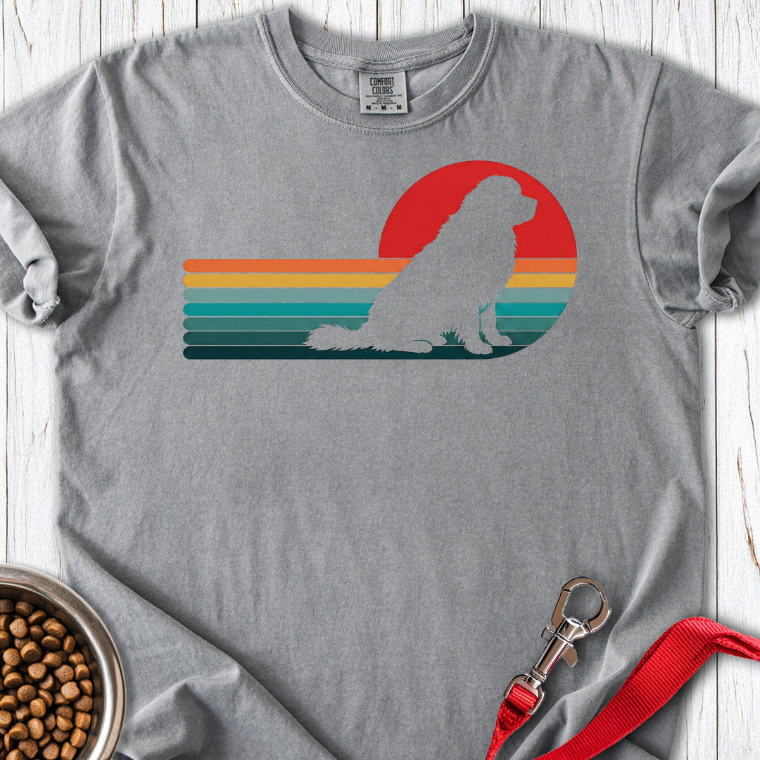 Newfoundland Retro Sunset Premium Tee — Grey