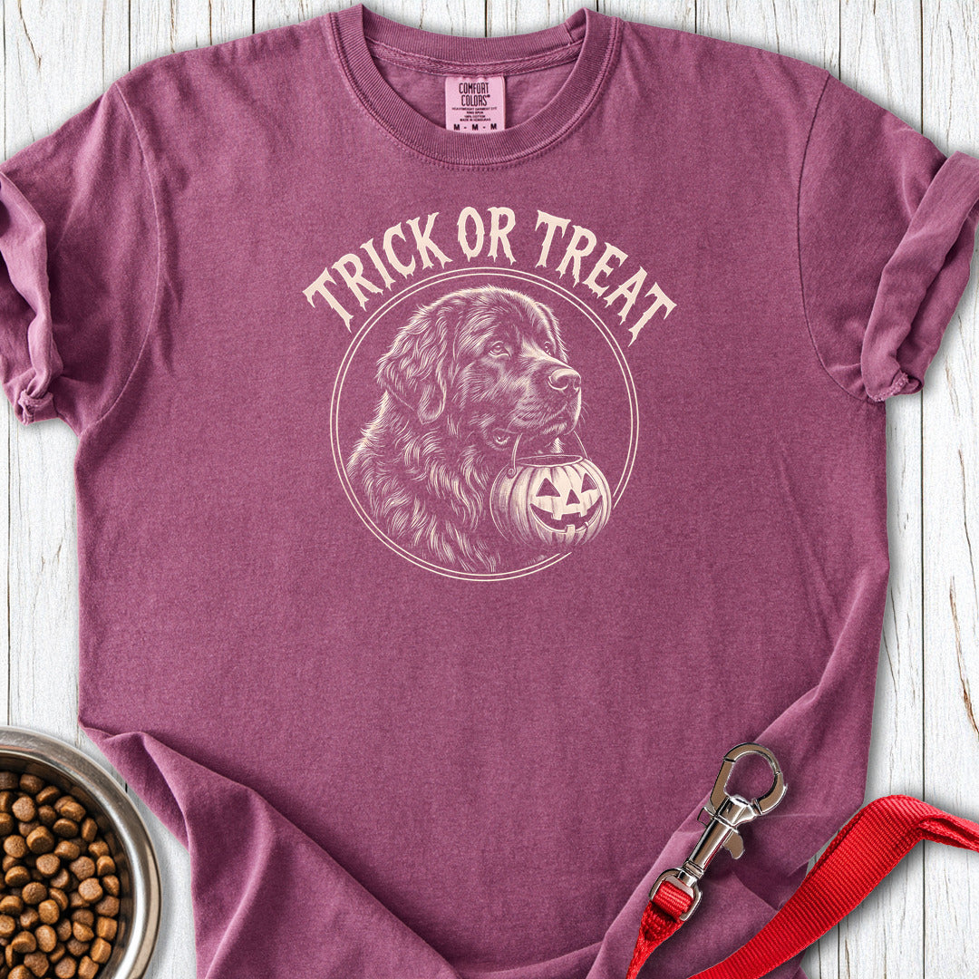 Newfoundland Trick Or Treat Premium Tee — Berry