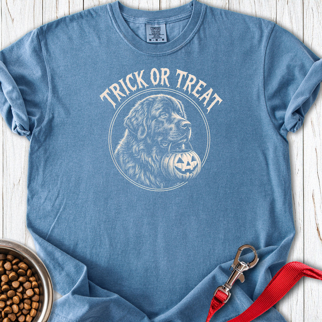 Newfoundland Trick Or Treat Premium Tee — Blue Jean