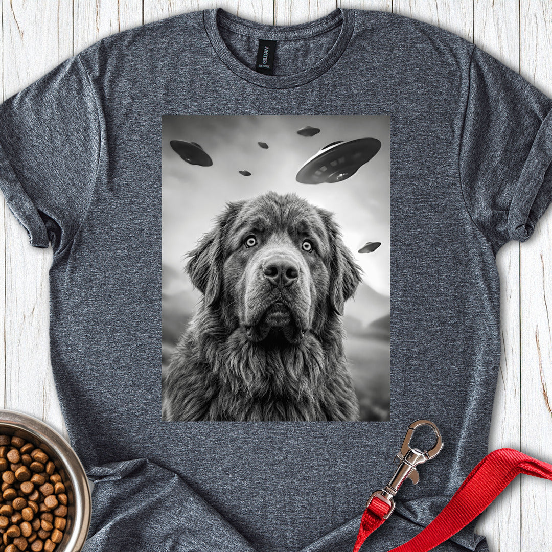 Newfoundland UFO — Dark Heather