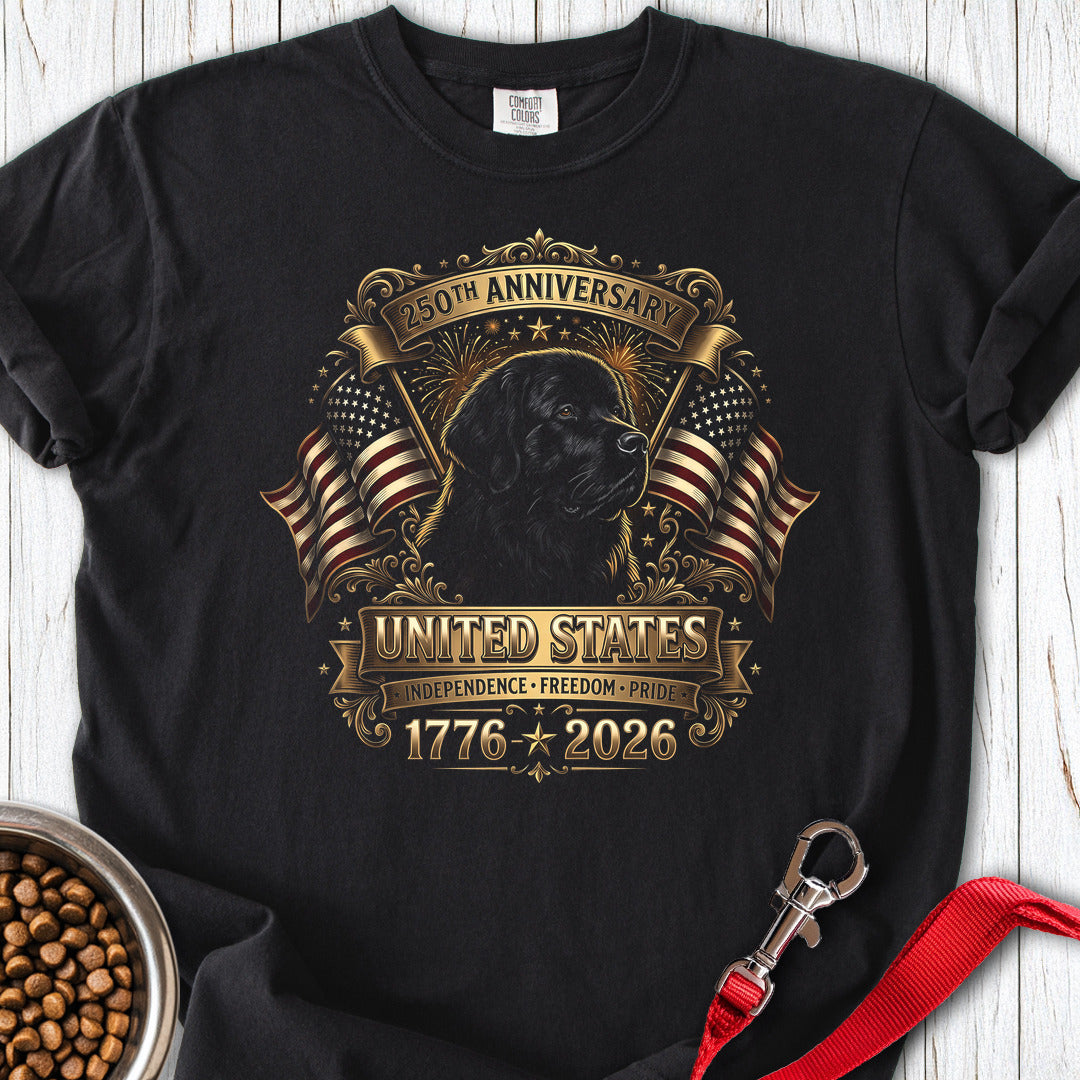Newfoundland USA 250 Anniversary Premium Tee — Black