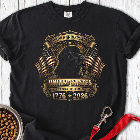 Newfoundland USA 250 Anniversary Premium Tee — Black