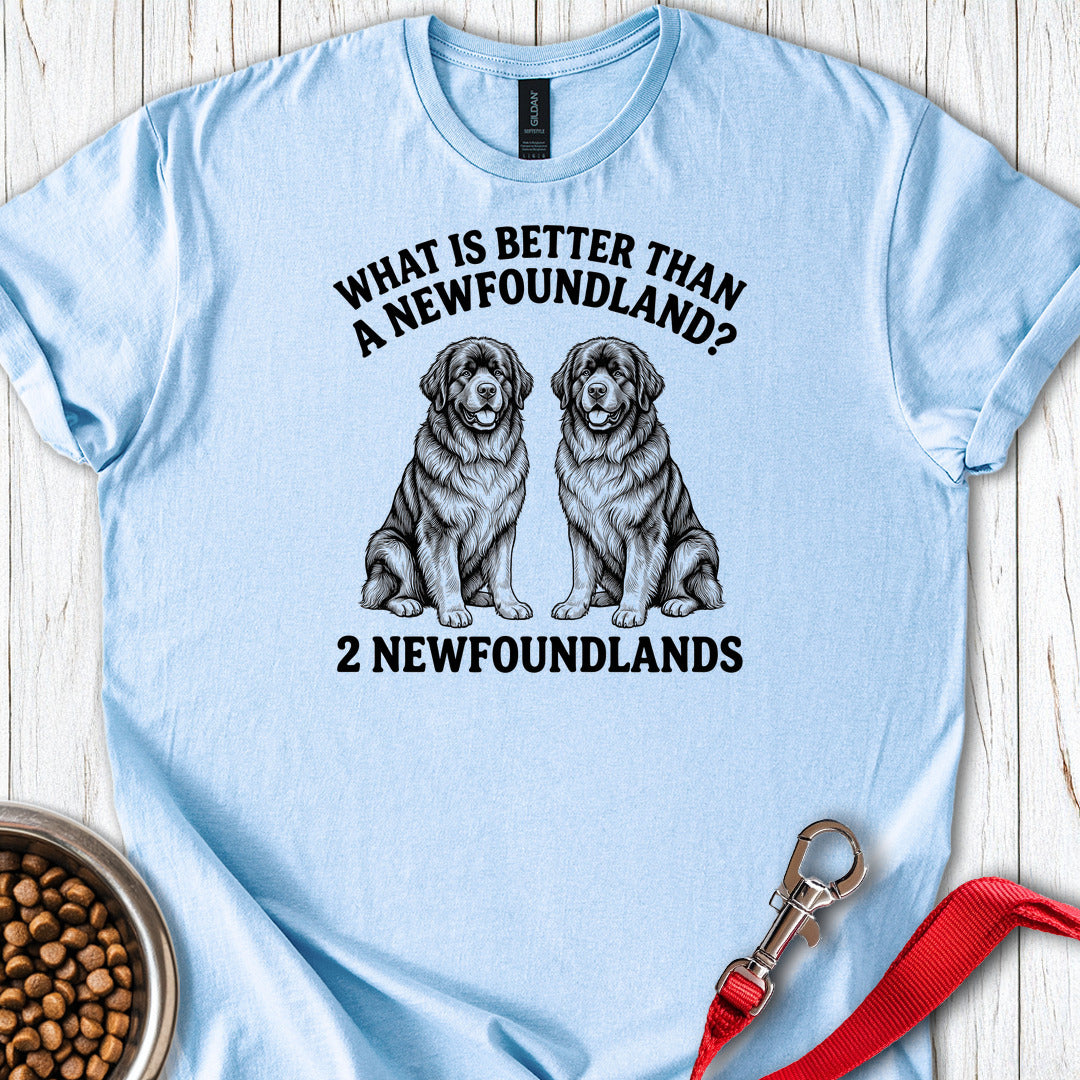 Newfoundland What Is Better Than One — Light Blue