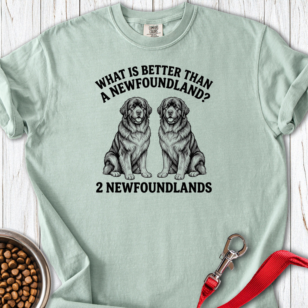 Newfoundland What Is Better Than One Premium Tee — Bay