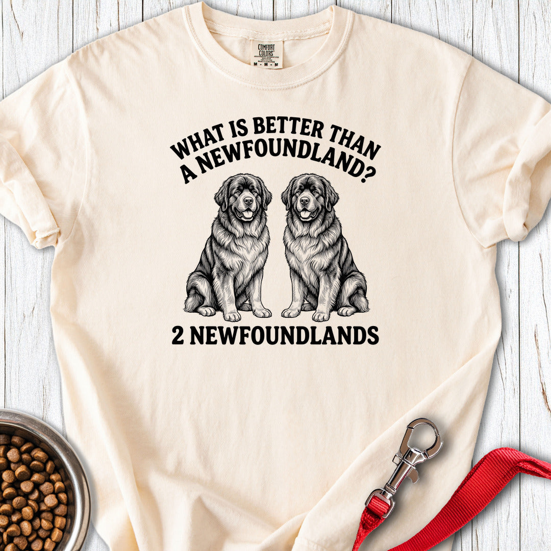 Newfoundland What Is Better Than One Premium Tee — Ivory
