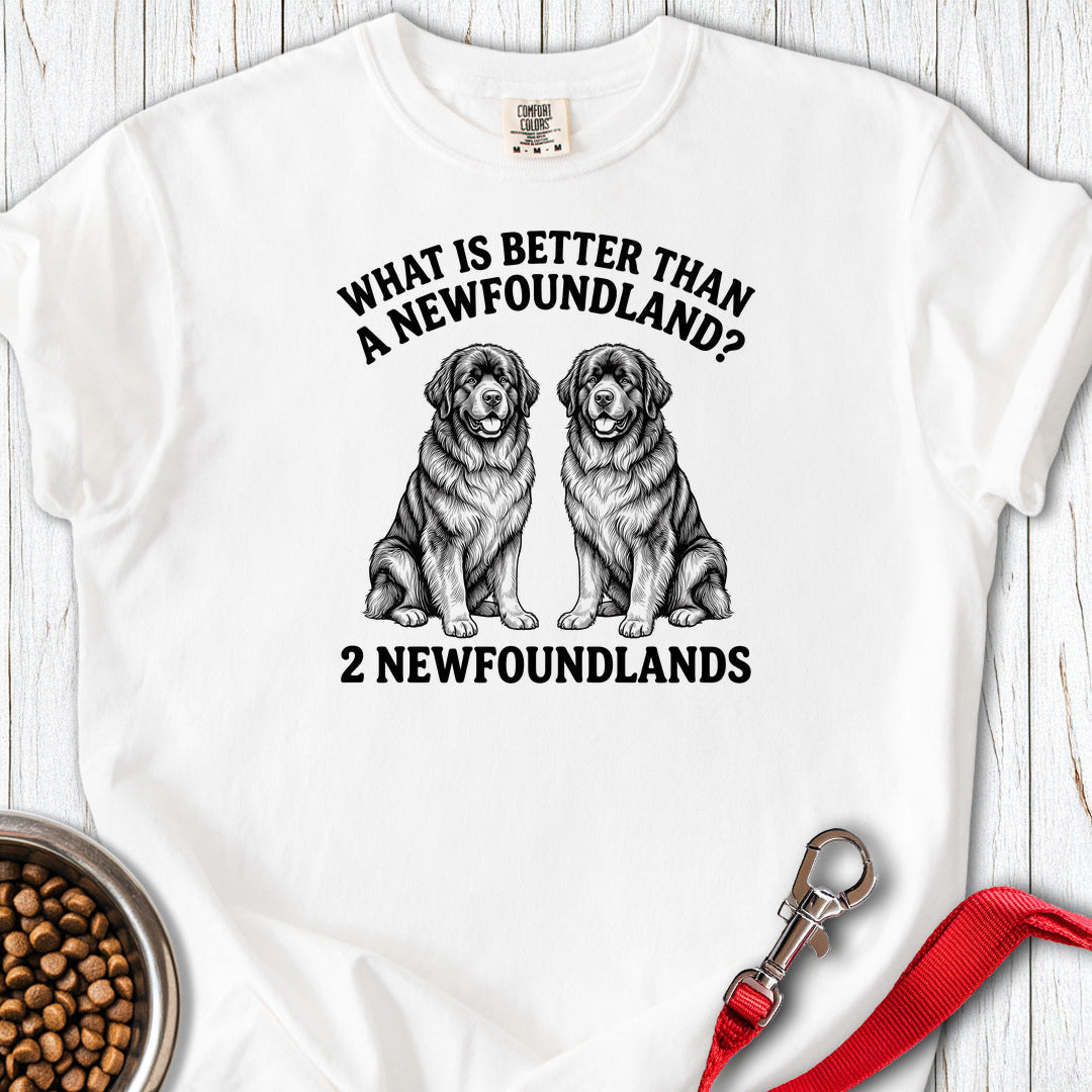 Newfoundland What Is Better Than One Premium Tee — White