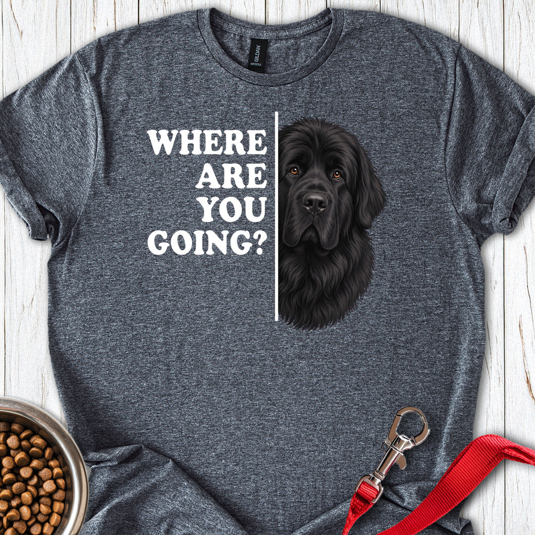 Newfoundland Where Are You Going — Dark Heather