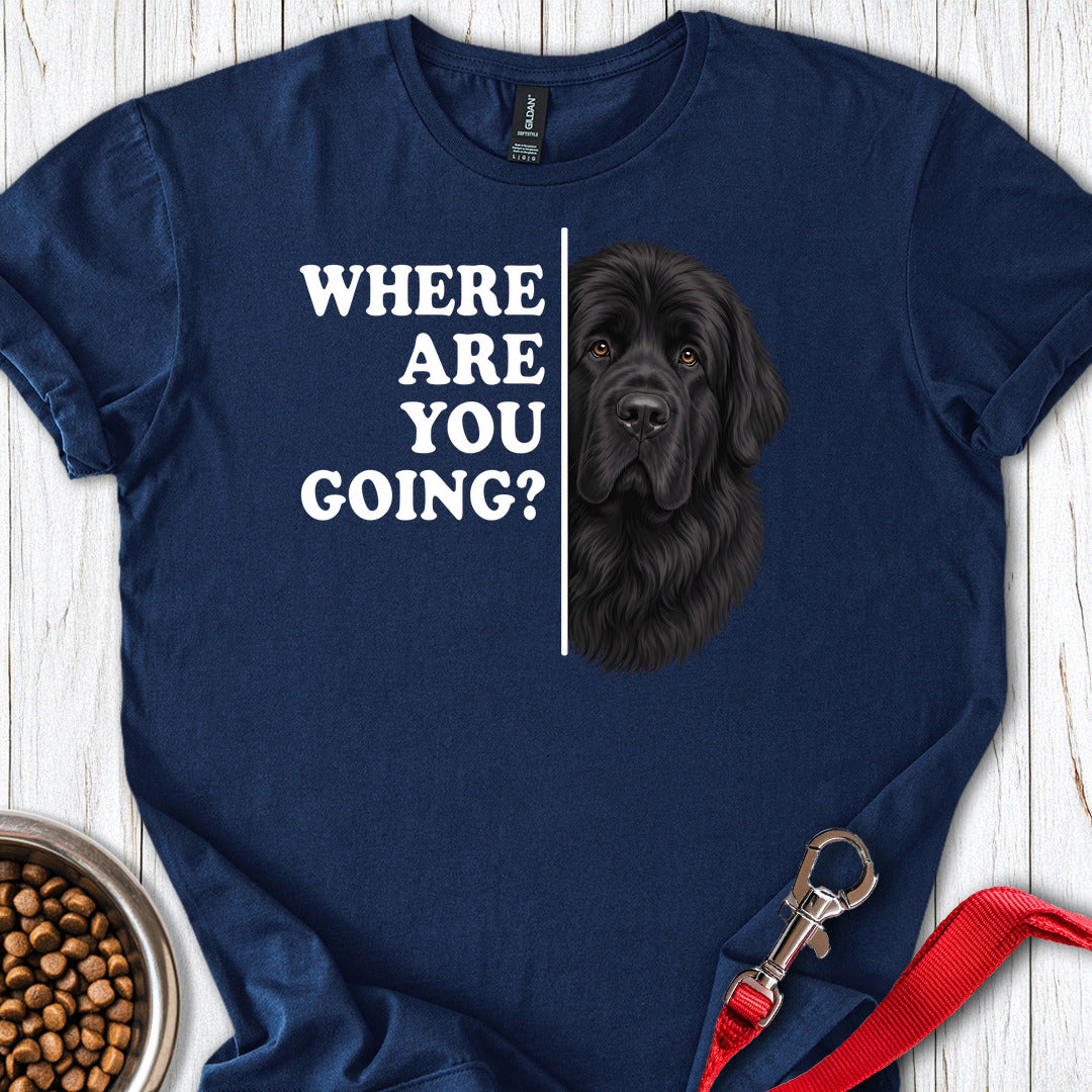 Newfoundland Where Are You Going — Navy