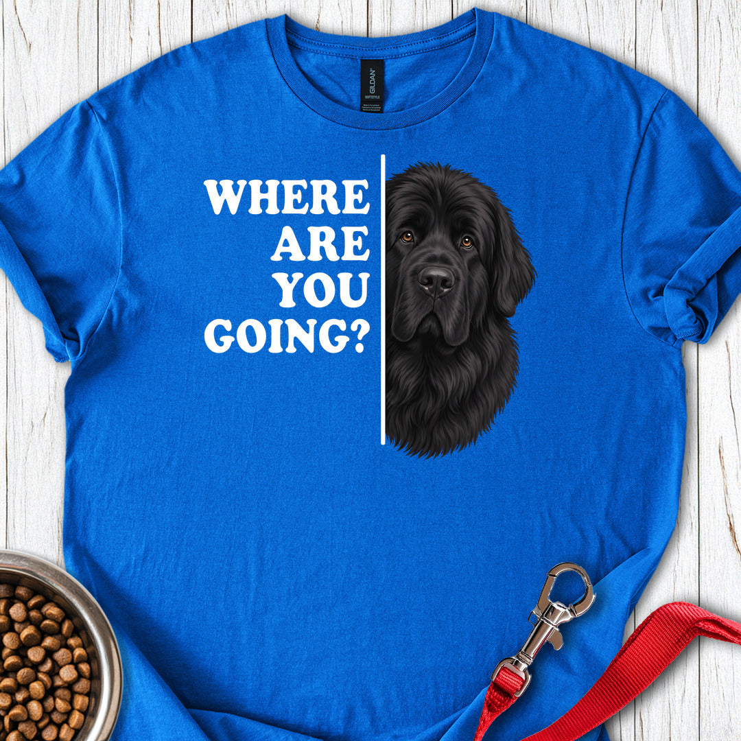 Newfoundland Where Are You Going — Royal