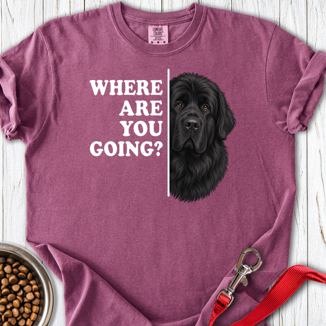 Newfoundland Where Are You Going Premium Tee — Berry